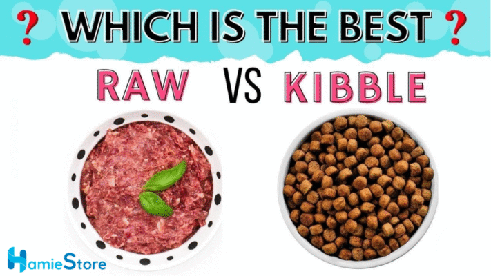 Fresh Dog Food vs. Kibble
